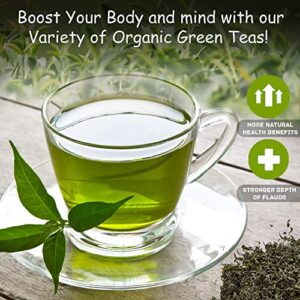 elevate organic green tea 50 bags